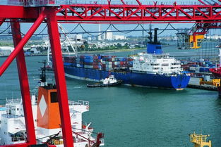 香港倉儲(chǔ)服務(wù)