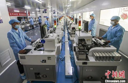 東西問(wèn)丨梁玉春 為什么說(shuō)新疆人口發(fā)展是新疆發(fā)展進(jìn)步的寫照