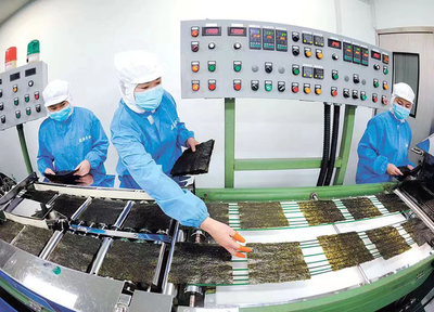 1至4月同比增九成！數(shù)字化轉(zhuǎn)型賦能連云港外貿(mào)進(jìn)出口“新”意滿滿